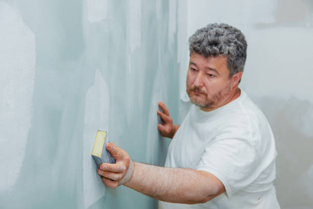 Best Commercial Mold Inspection  in North Falmouth, MA