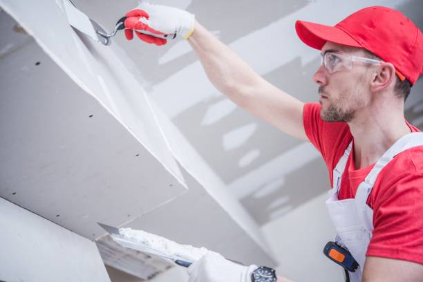 Best Mold Removal for HVAC Installations  in North Falmouth, MA